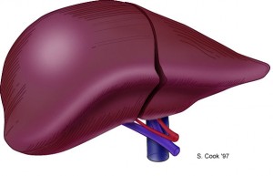کبد نارسایی حاد