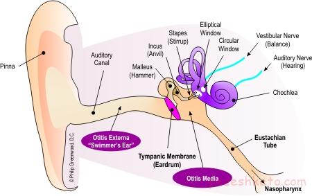 کری ناگهانی چیست