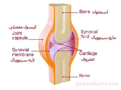 کپسول مفصلی چیست