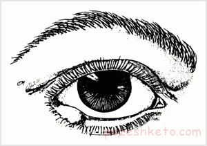 اطلاعاتی درباره گل مژه