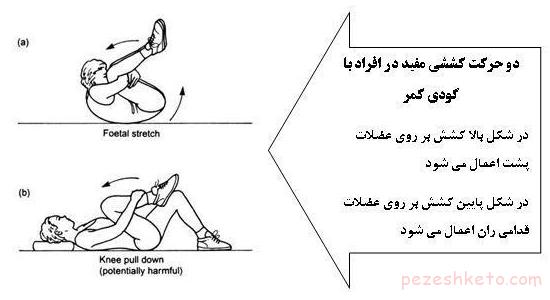 گودی کمر چیست